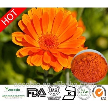 Polvo fino de naranja rojiza Tagetes erecta L. Extracto de marigold / Extracto de flor de caléndula Polvo a granel